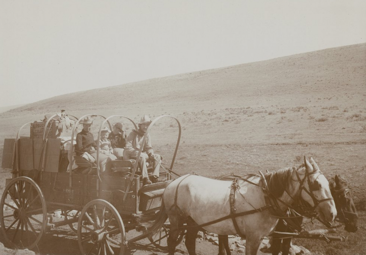 Aven Nelson in a covered wagon on his way to Yellowstone National Park