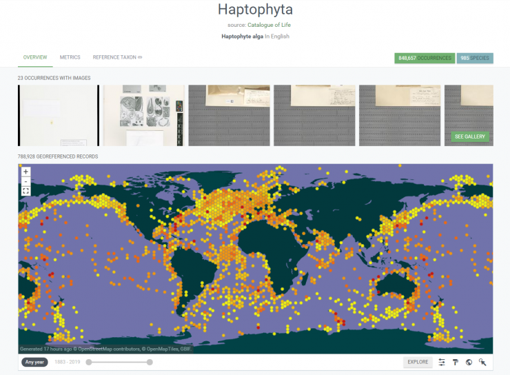 Screen shot of A species distribution map of the algae species, Haptophyte alga made on the GBIF website.